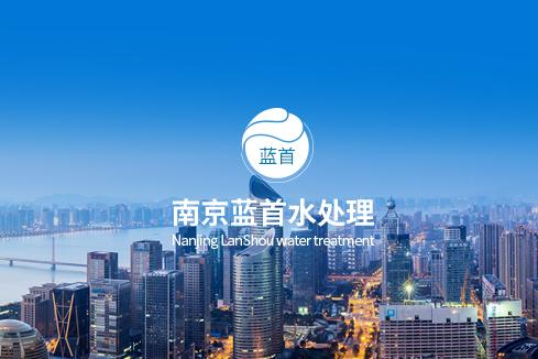 天等建站-南京蓝首水处理设备有限公司