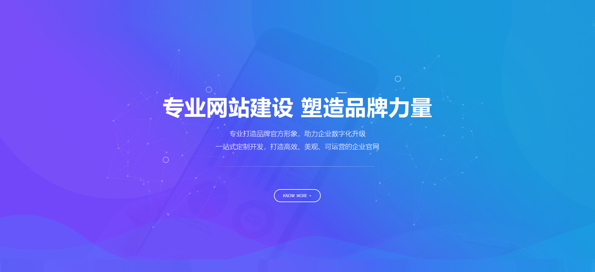 大新建站-专业网站建设 塑造品牌力量