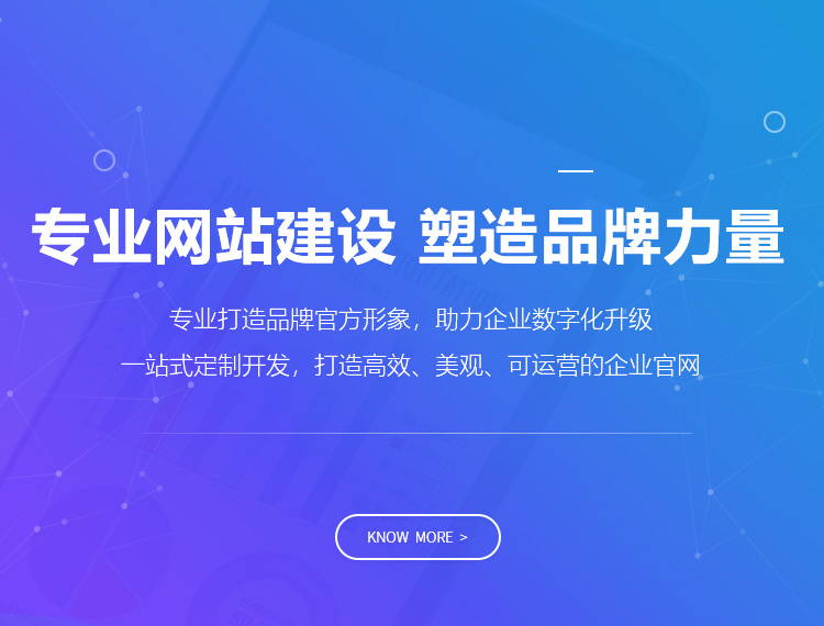 大新建站-专业网站建设 塑造品牌力量